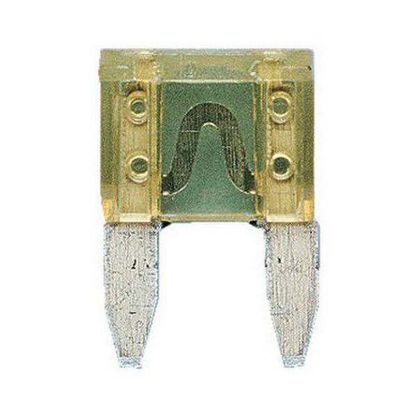 Picture for category Flat blade fuse mini