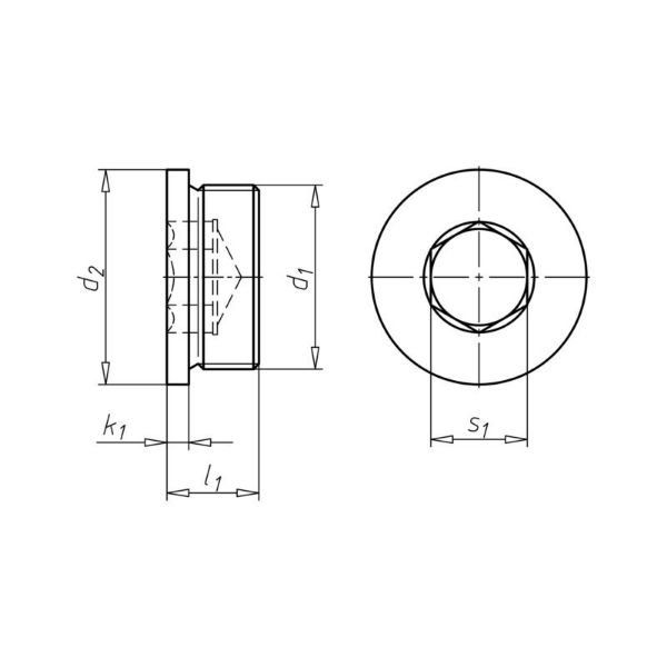 Picture for category Sealing plug, flange, internal hex, inch