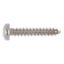 Show details for PAN HEAD TAPPING SCREW SHAPE C WITH H RECESSED HEAD A4 Raised countersunk tapping screw shape C with H recessed head - SCR-PANHD-DIN7981-C-H1-A2-2,9X32