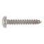 Show details for PAN HEAD TAPPING SCREW SHAPE C WITH H RECESSED HEAD A4 Raised countersunk tapping screw shape C with H recessed head - SCR-PANHD-DIN7981-C-H3-A2-5,5X13