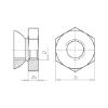 Shear nut - NUT-TEAROF-A2-WS13-M8