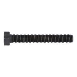 Hexagonal bolt with thread up to the head - SCR-HEX-ISO4017-10.9-WS24-M16X100