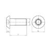 Screw with flattened half round head and hexagon socket - SCR-RSD-ISO7380/1-010.9-HS5-M8X16