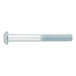 Screw with flattened half round head and hexagon socket - SCR-ISO7380/1-010.9-HS4-(A2K)-M6X45