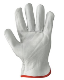 Picture of WORKING GLOVES