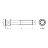 Hexagon Socket Head Cap Screw - SCR-CYL-ISO4762-12.9-HS14-M16X160