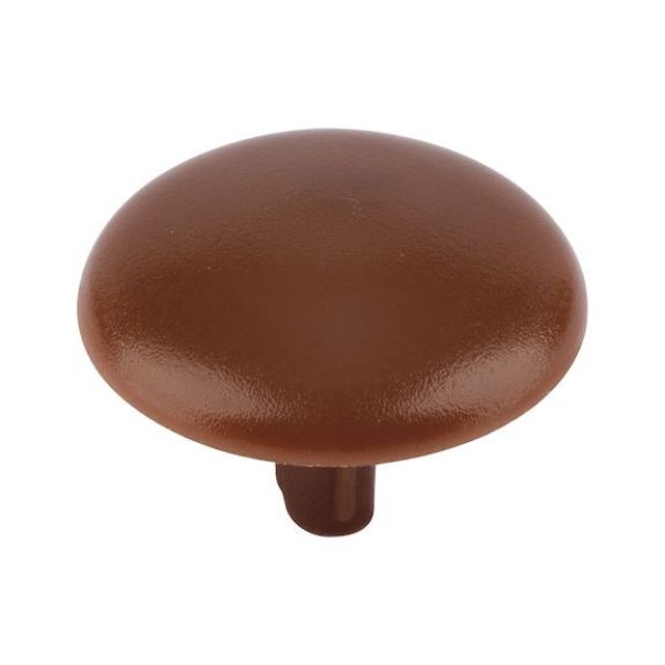 Cover cap for head-hole-drilled screw - CAP-(01743)-R8007-FAWNBROWN-D12/2,5