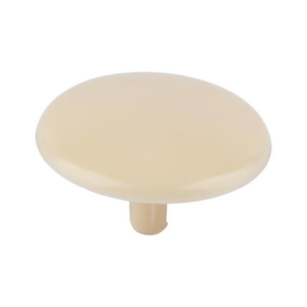 Cover cap for head-hole-drilled screw - CAP-(01743)-R1015-LIGHTIVORY-D15/2,5