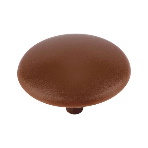 Cover cap for head-hole-drilled screw - CAP-(01743)-R8007-FAWNBROWN-D15/2,5