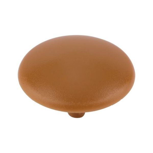 Cover cap for head-hole-drilled screw - CAP-(01743)-R8001-OCHERBROWN-D15/2,5