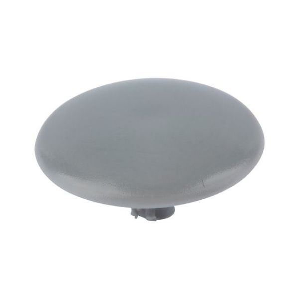 Cover cap for head-hole-drilled screw - CAP-(01743)-R7001-SILVERGREY-D15/2,5