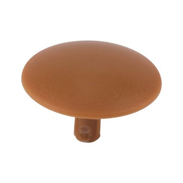 Cover cap for head-hole-drilled screw - CAP-(0150)-R8001-OCHERBROWN-D15/3