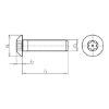 Half round head safety screw with hexagon socket and pin Similar to ISO 7380-1, A2-070 stainless steel, plain - SCR-BUT-A2/070-(TX30-PIN)-M6X20