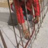 Picture of WATERSTOP DM