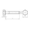 Hexagonal bolt with shank - SCR-HEX-DIN931-A2/70-WS17-M10X65