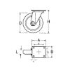 Apparatus castor with rotating holder - SWIVMACSTR-N.MARK-PLT-D80-65KG