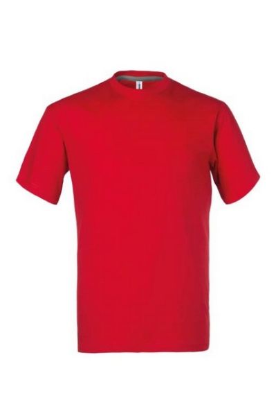 Picture of T-SHIRT 