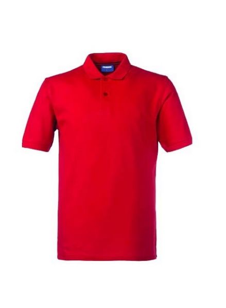 Picture of POLO SHIRT  