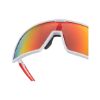 Muscida safety goggles - SAFEGOGL-MUSCIDA-MIRROR